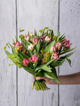 Papuzie Tulipany