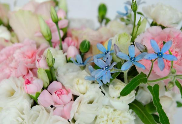 Mieszanka Kwiatów – róża i eustoma